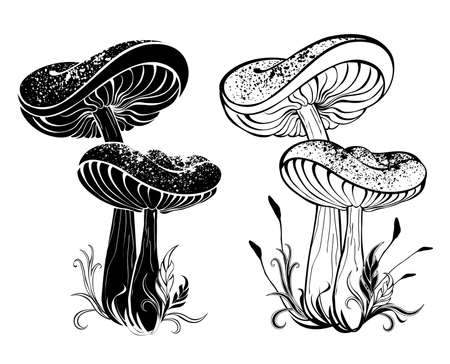 Two monochrome, contour, silhouette, mature mushrooms with large caps on white background. Stencil.のイラスト素材