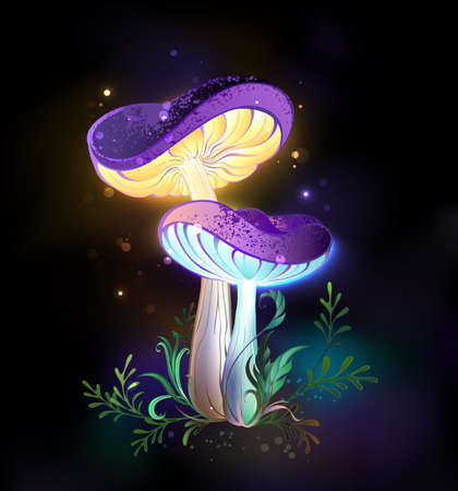Two glowing, magical, mature mushrooms with purple caps with yellow legs on black glowing background. Fabulous mushroom.のイラスト素材