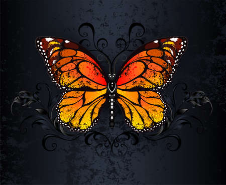 Orange, realistic, detailed monarch butterfly on black, textured, gothic background. Monarch butterfly.のイラスト素材