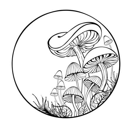 Artistically drawn, outline, silhouette, stylized mushrooms and moss in frame on white backgroundのイラスト素材