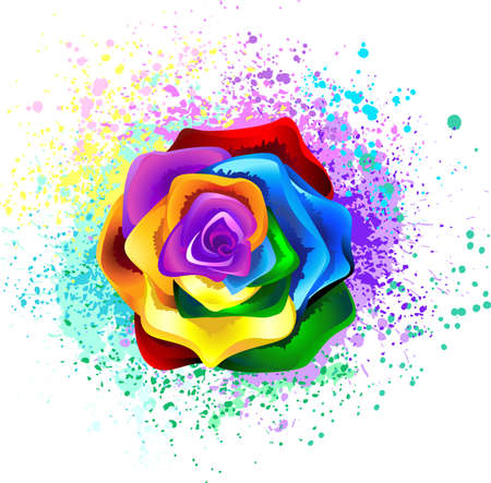 Large, blooming rose with rainbow petals on white background, painted over with splashes of colorful, bright paint.のイラスト素材