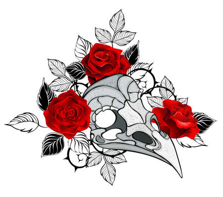 Gray, gothic, textured, bird's skull, decorated with bright, red, blooming roses with black leaves and stems on a white background. Gothic style.のイラスト素材