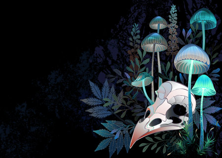 Artistically drawn skull of bird lies among hallucinogenic, luminous mushrooms and bushes of poisonous, marsh plants on black textured background. bird skull.のイラスト素材
