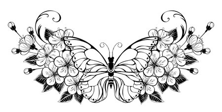 Contoured, artistically drawn butterfly decorated with symmetrical bouquet of Japanese cherry blossoms. tattoo style. contour sakura.のイラスト素材