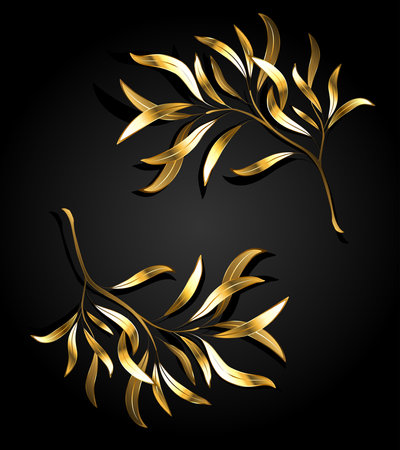 Two jewelry, gold, artistically painted willow twigs on a black background. golden willow.のイラスト素材