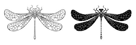 Artistically drawn, contoured and silhouetted dragonfly with patterned wings.のイラスト素材