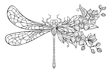 Contour, stylized, artistic dragonfly, decorated with exotic orchids on white background. Coloring dragonfly.のイラスト素材
