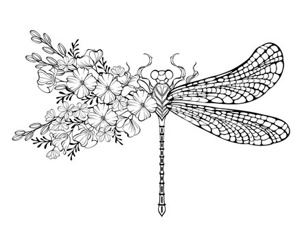 Outline, artistically drawn, floral dragonfly with wing decorated with California poppy and wild plants on white background. Coloring floral dragonfly.のイラスト素材