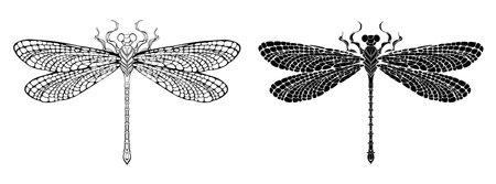 Artistically drawn, contoured and silhouetted dragonfly with detailed wings. Coloring.のイラスト素材