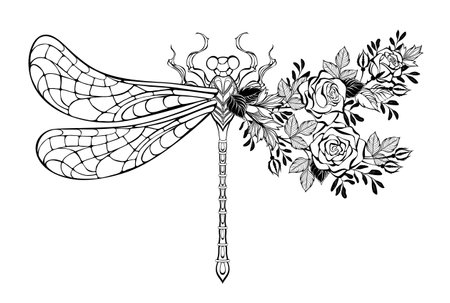 Contour, stylized, asymmetrical dragonfly, decorated with blooming roses and pistachio branches on white background. Coloring.のイラスト素材