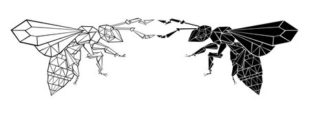 Artistically drawn, polygonal, contour and silhouette, flying bee on white background. Polygonal style.のイラスト素材