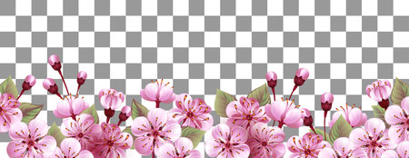 Spring seasonal background with long horizontal border of artistically drawn flowers, Japanese cherry blossoms in pink, delicate color, isolated in transparent background. Greeting spring vector. Pink sakura.のイラスト素材