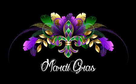 Symmetrical composition for Mardi Gras carnival decoration made of fluffy and bright feathers, leaves, and jewelry fleur de lis on black background.のイラスト素材