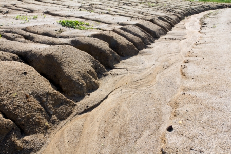 Soil erosion to overgrazing leading to desertification caused by over exploitation