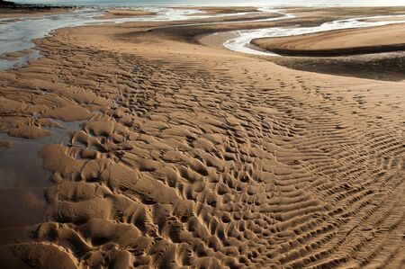close up view beach sand backgroundの写真素材