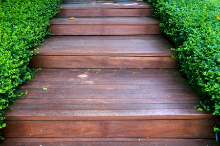 wood stair way on green gardenの写真素材