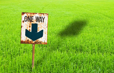 One way sign on green rice farmの写真素材
