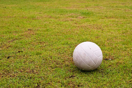 White ball on green grassの写真素材