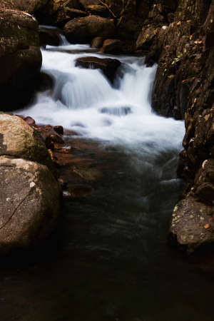 Waterfall in deep forestの写真素材