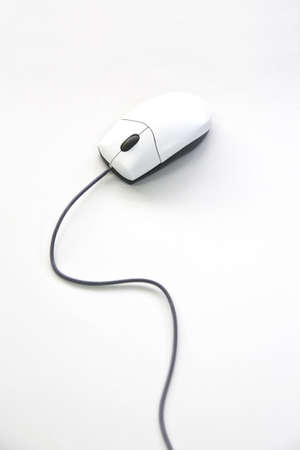 White mouse isolate on whiteの写真素材
