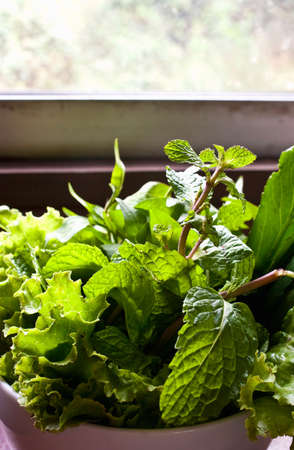Green vegetable in bowl-mint leavesの写真素材