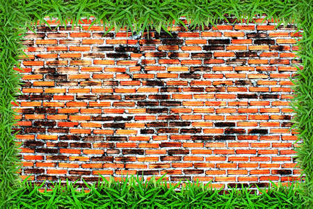 Green grass frame on grunge brick wall backgroundの写真素材