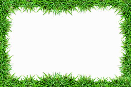 Green grass frame isolate on whiteの写真素材
