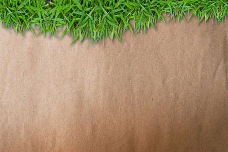 Green grass on grunge brown paper backgroundの写真素材