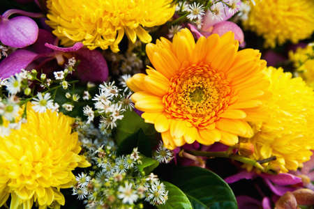 A bunch of chrysanthemum flowerの写真素材