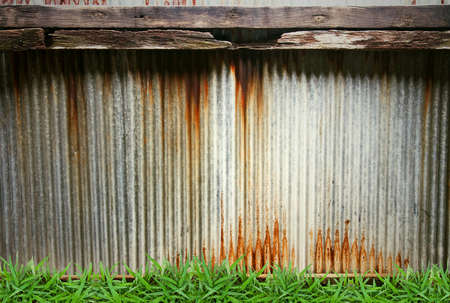 Green grass on grunge metal plateの写真素材