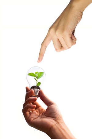 Hand with light bulb and plant, can be used for energy conceptの写真素材