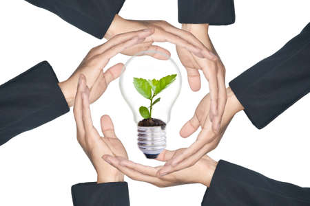 Hands protecting green tree in light bulb, isolate on whiteの写真素材