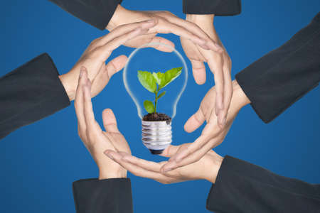 Hands protecting green tree in light bulbの写真素材