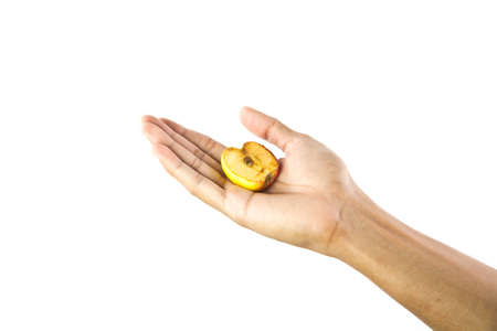 Hand holding half of apple fruit on whiteの写真素材
