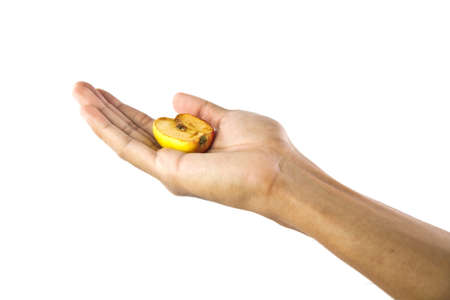 Hand holding half of apple fruit on white backgroundの写真素材