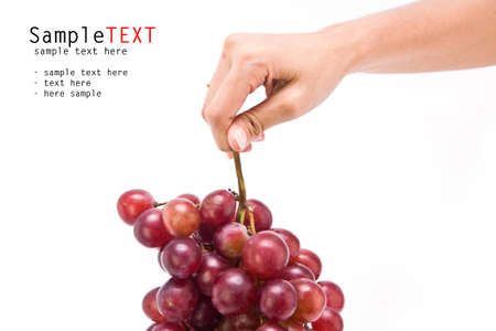 Hand picking red grape, isolated on white backgroundの写真素材