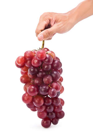 Hand picking red grape fruit, isolate on white backgroundの写真素材