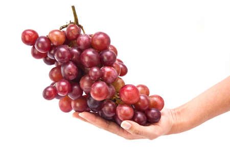 Hand holding red grape fruitの写真素材