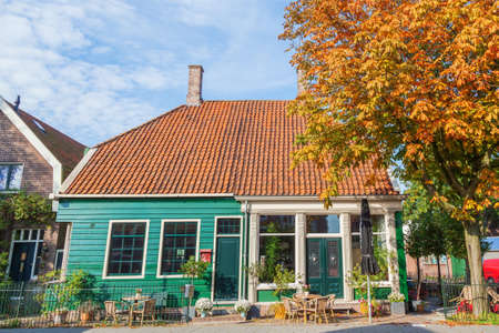 Autumn tree with Zaaneschans city townhome, the Netherlandsのeditorial素材