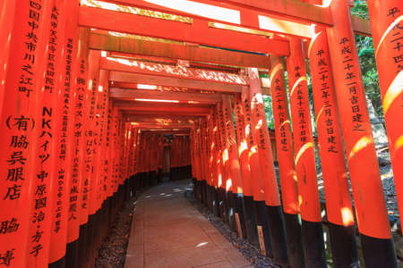 Row of red Tori Gate at Fushimi Inari Shrine at Kyoto, Japanのeditorial素材