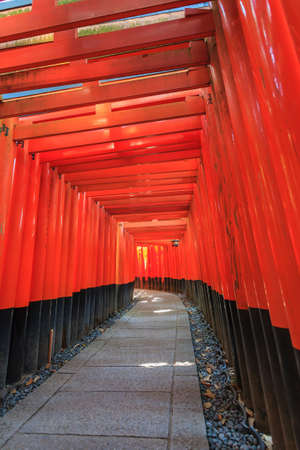 Row of red Tori Gate at Fushimi Inari Shrine at Kyoto, Japanのeditorial素材