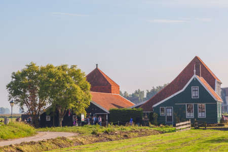 Green houses in small typical Dutch village at the Zaanse Schansのeditorial素材