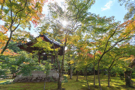 Beautiful japanese gardening with sun ray at Kinkakuji temple, Kyoto, Japanのeditorial素材