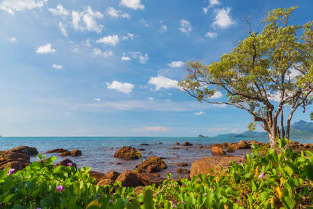 Tropical sea beach at Koh Change island, Thailandの写真素材