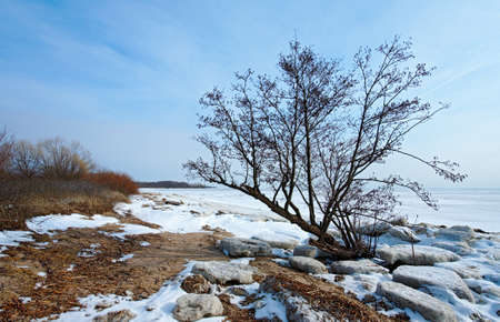 Winter landscape. Gulf Coastの写真素材