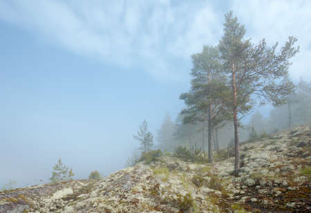 Coast in the fog. Lake Ladogaの写真素材