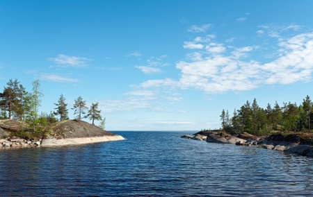 Summer landscape. Lake Ladogaの写真素材