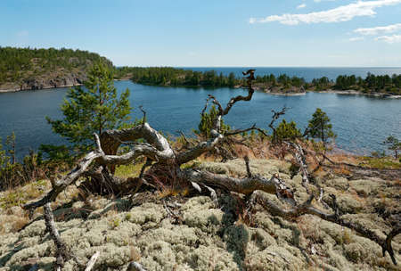 View of the islands of Ladogaの写真素材
