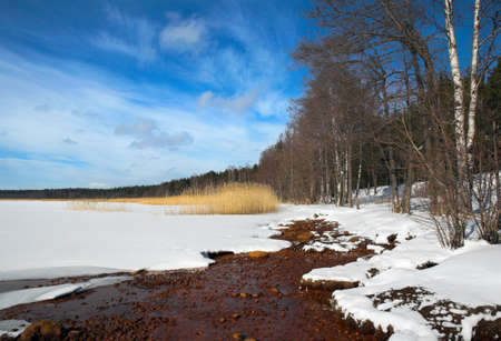 Spring. The Gulf of Finlandの写真素材