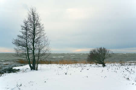 Winter landscape. The Gulf of Finlandの写真素材